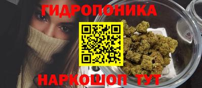 прущие крисы Чебоксары