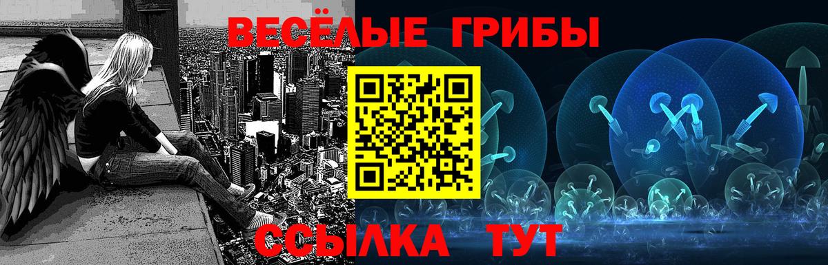 Галлюциногенные грибы прущие грибы Белая Калитва