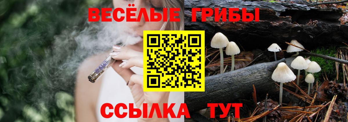 Галлюциногенные грибы Psilocybine cubensis  Вход с VPN  Псилоцибиновые грибы ЛСД  Белая Калитва 